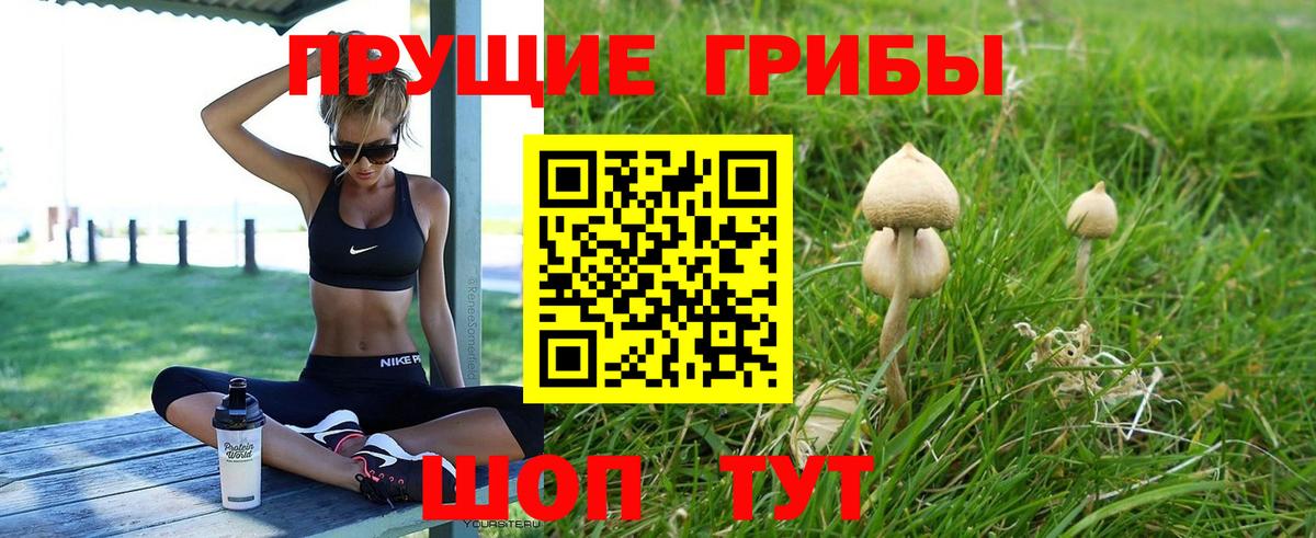 Псилоцибиновые грибы GOLDEN TEACHER  Галлюциногенные грибы Psilocybine cubensis  Ялуторовск  Вход с VPN 
